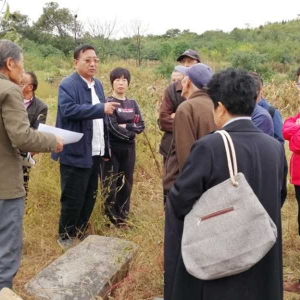 艺术百家庚子中秋国庆系列报道之六寻访徐州古村土山寺