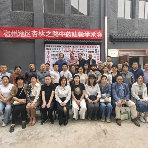龙城医派文化园开展三伏贴适宜技术暨舌诊辨证调理慢性病培训 ...